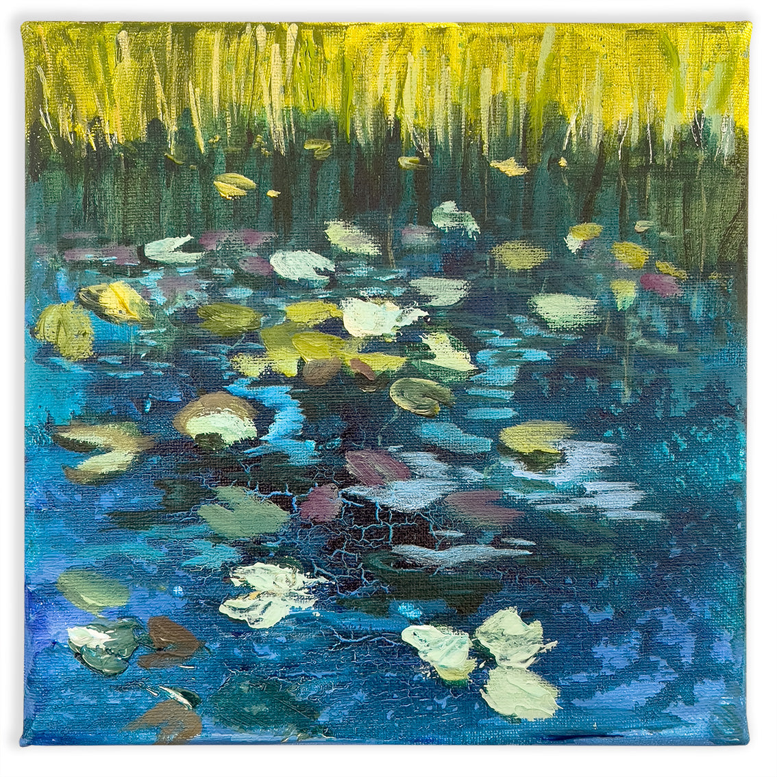 Lily Pad Pond